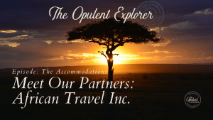 Exclusive Ultra-Lux travel content - accomidations on an African Safari. Luxury Travel Expert - The Opulent Explorer