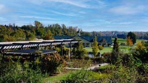 Horse & Wine Country