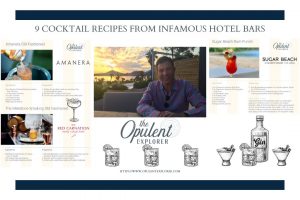 Nine cocktails from infamous hotel bars - The Opulent Explorer
