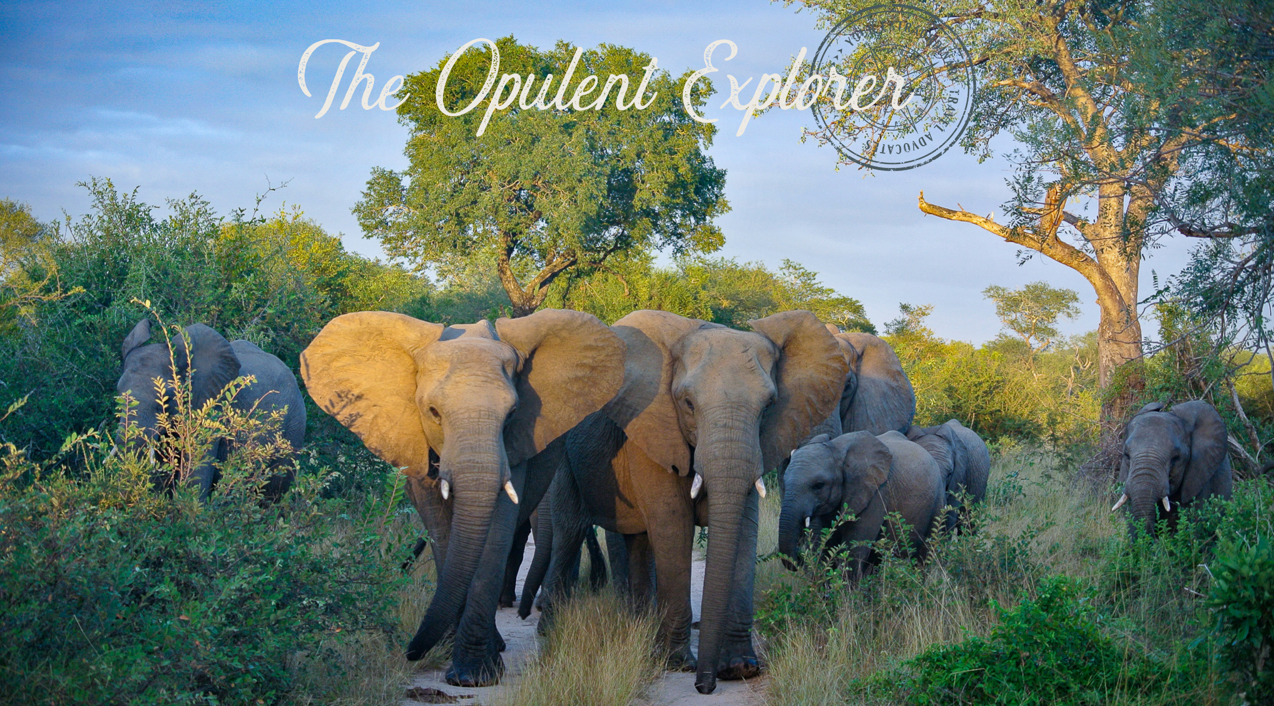 We know Africa - testimonial 