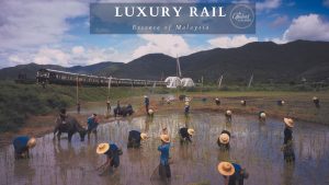 Essence of Malaysia belmond train country Itinerary